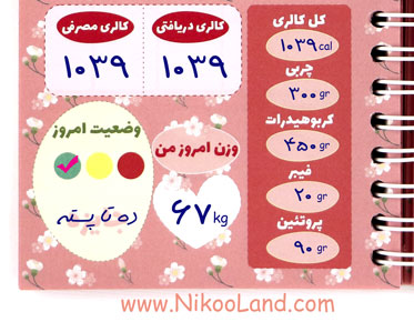 لاغری، کالری فعالیت های روزانه، کالری شماری، رژیم غذایی، رژیم لاغری